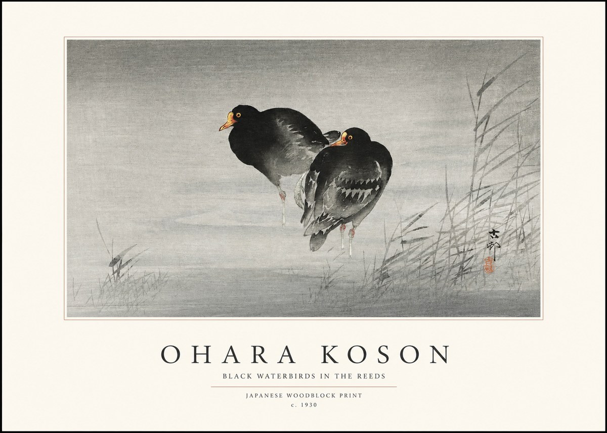 Ohara Koson Black Waterbirds in the Reeds No1 - Plakát