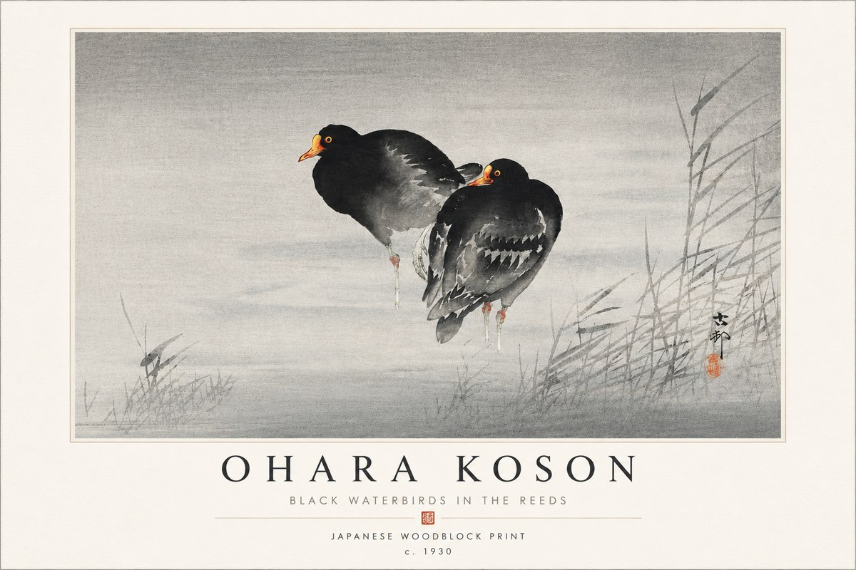 Ohara Koson Black Waterbirds in the Reeds No4 - Plakát