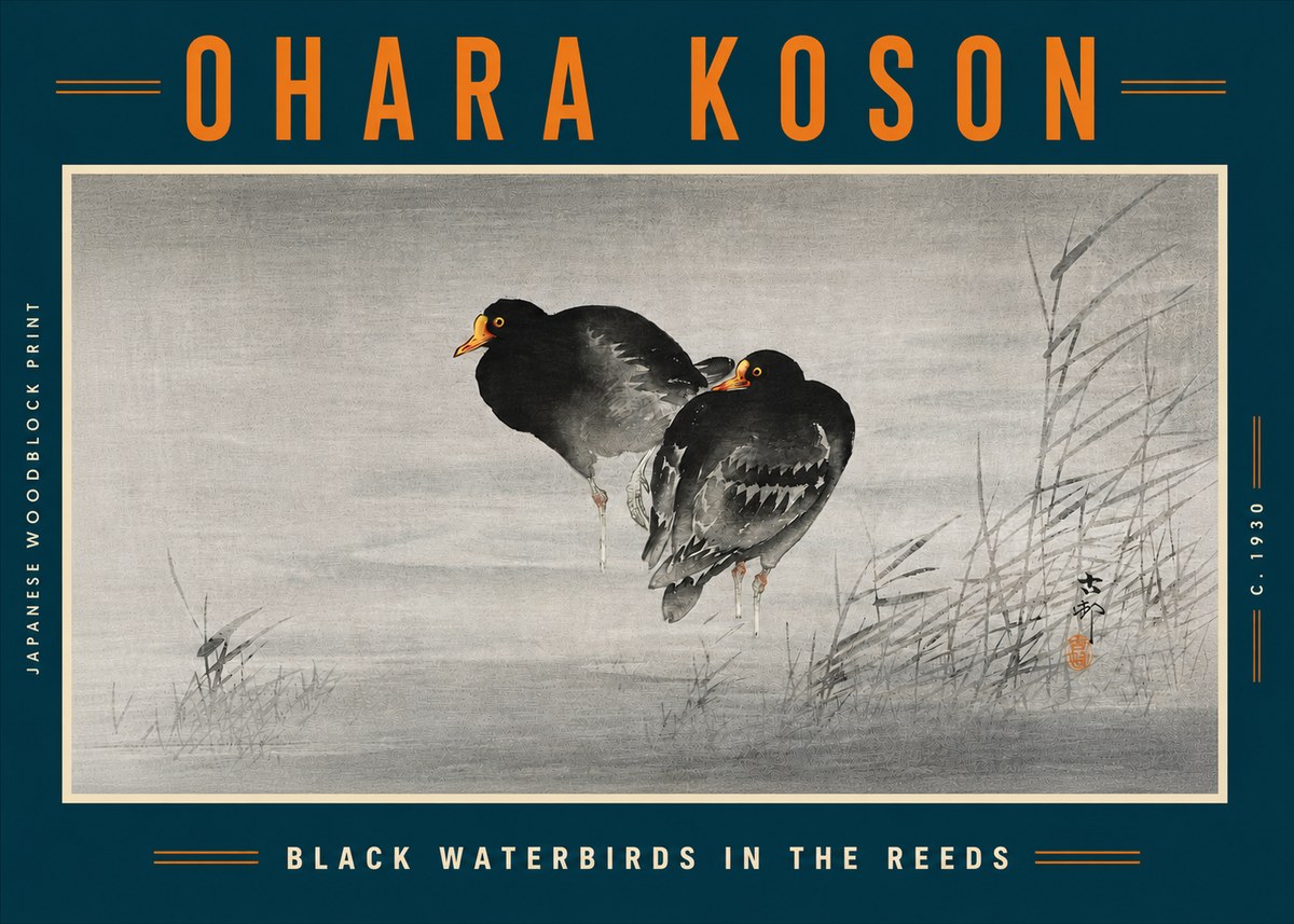 Ohara Koson Black Waterbirds in the Reeds No5 - Plakát