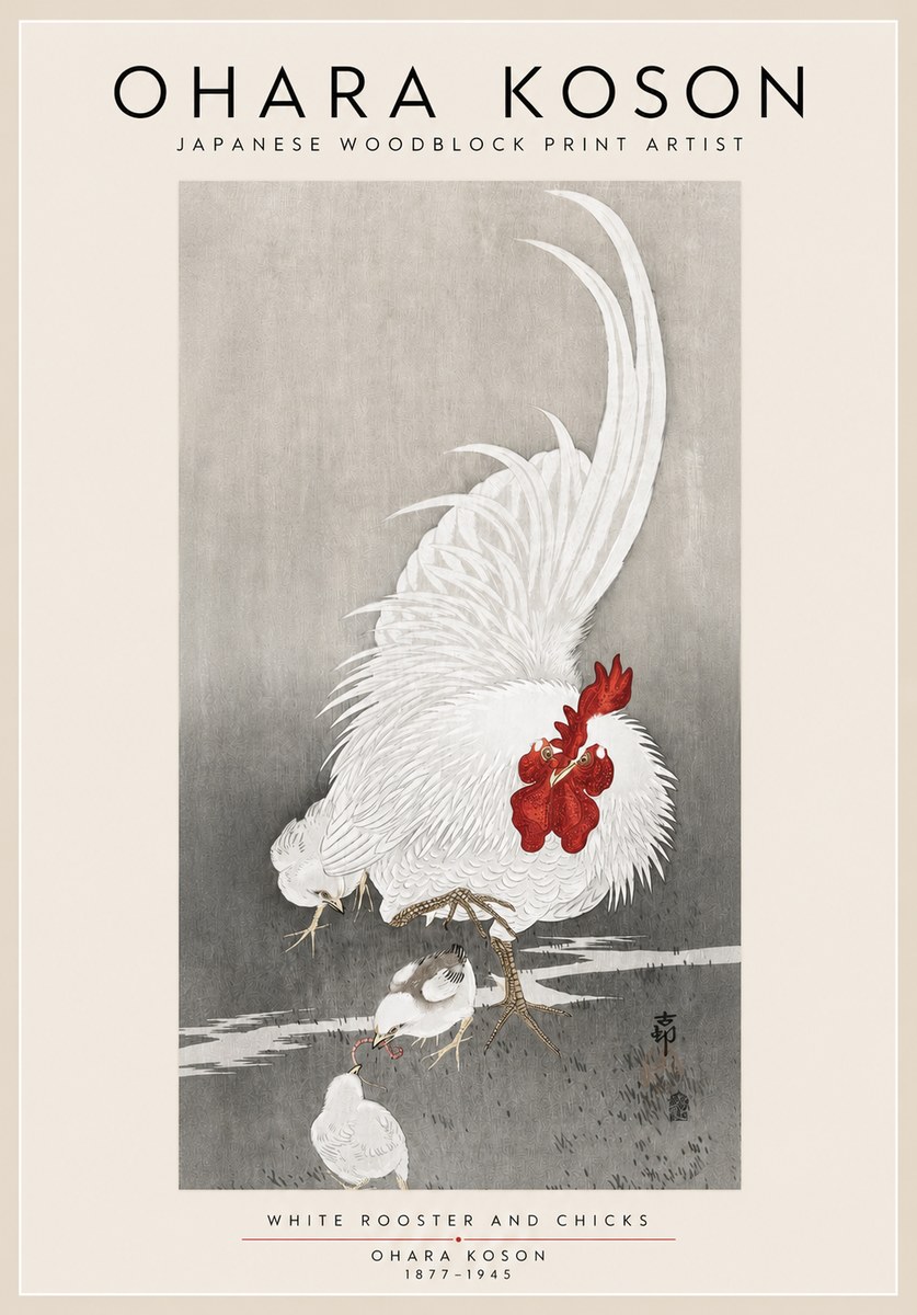 Ohara Koson White Rooster and Chicks No3 - Plakát