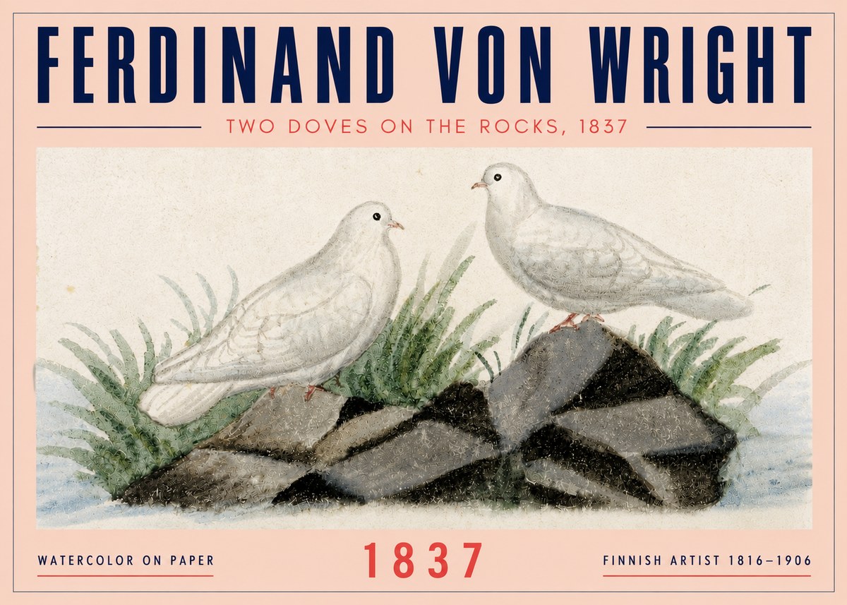 Ferdinand von Wright Two Doves on the Rocks, 1837 No4 - Plakát