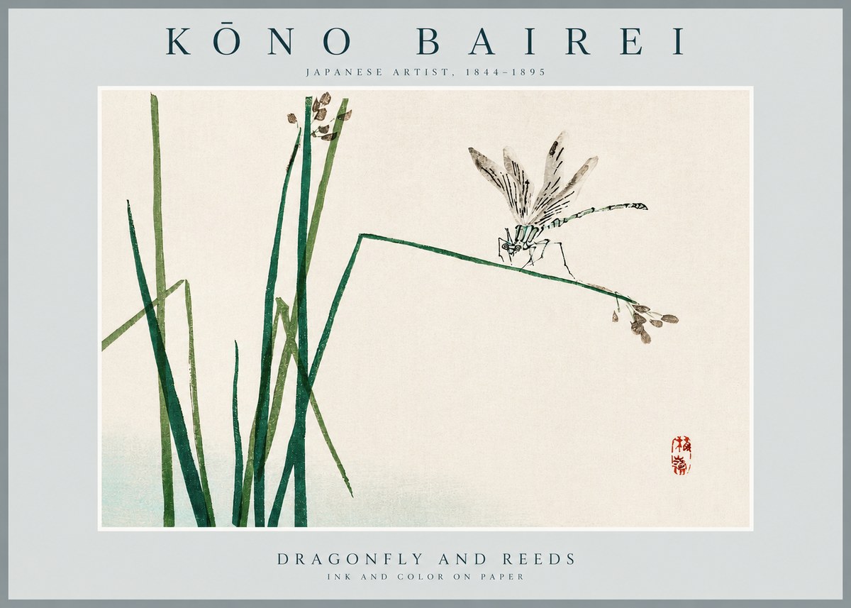 Kōno Bairei Dragonfly and Reeds No2 - Plakát
