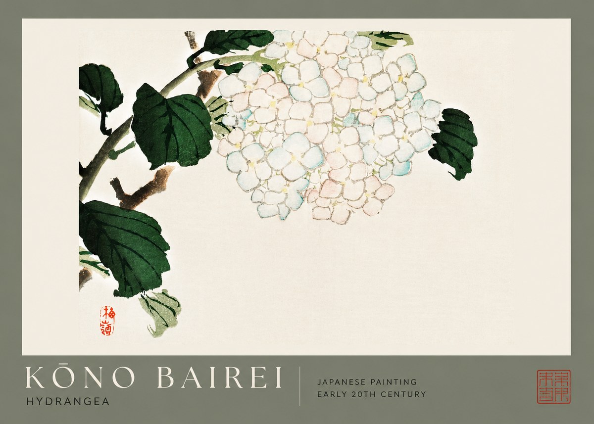 Kōno Bairei Hydrangea No2 - Plakát