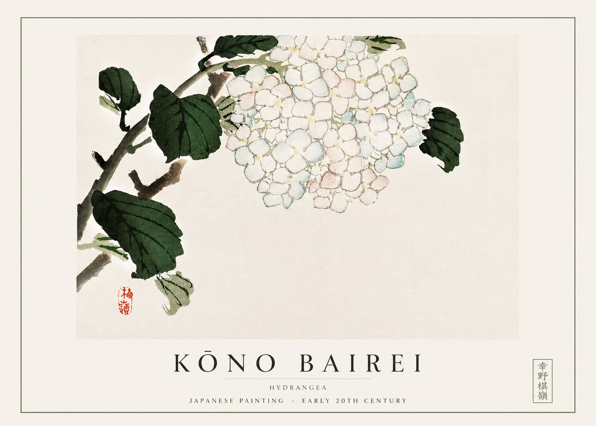 Kōno Bairei Hydrangea No3 - Plakát