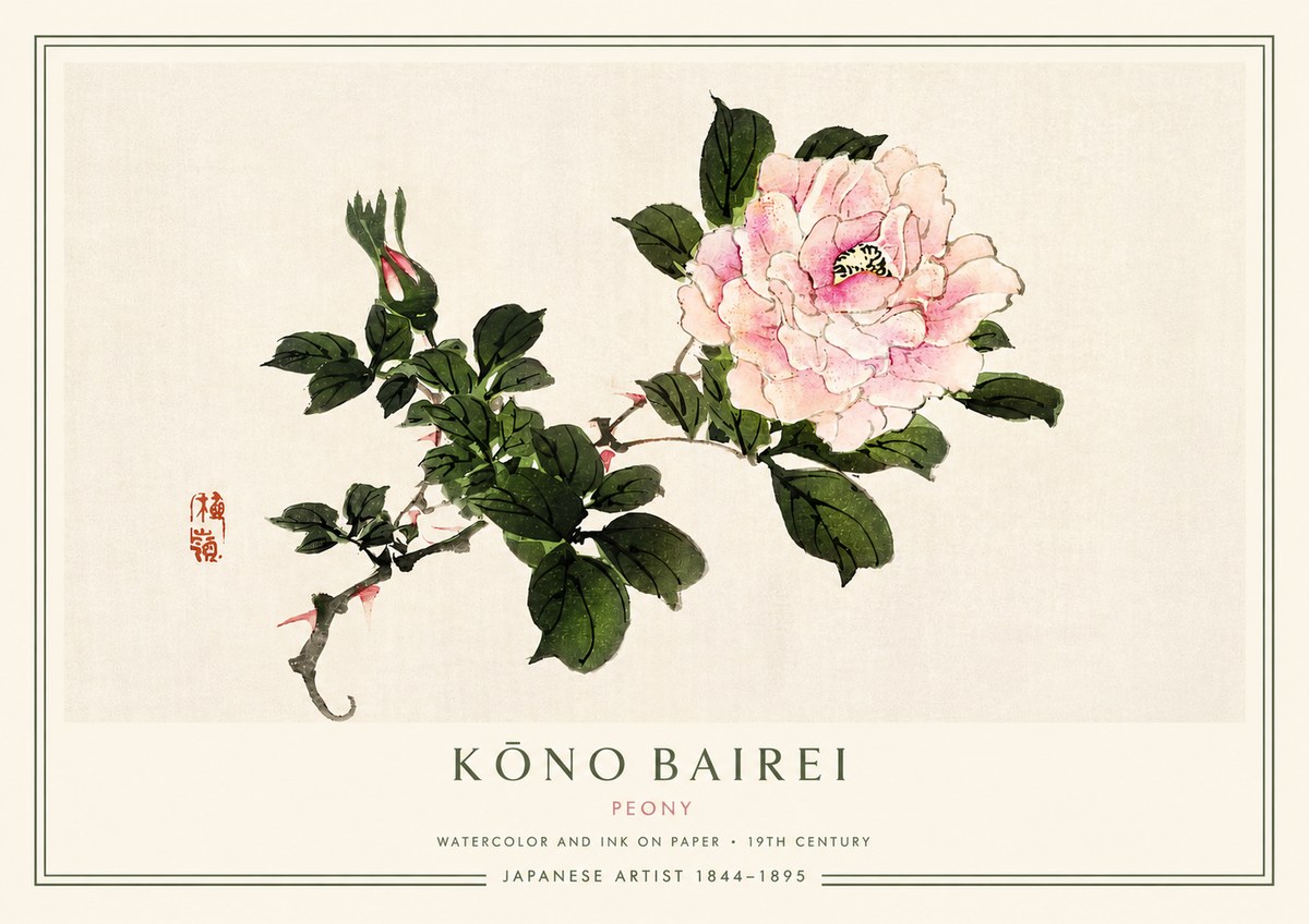 Kōno Bairei Peony I No3 - Plakát