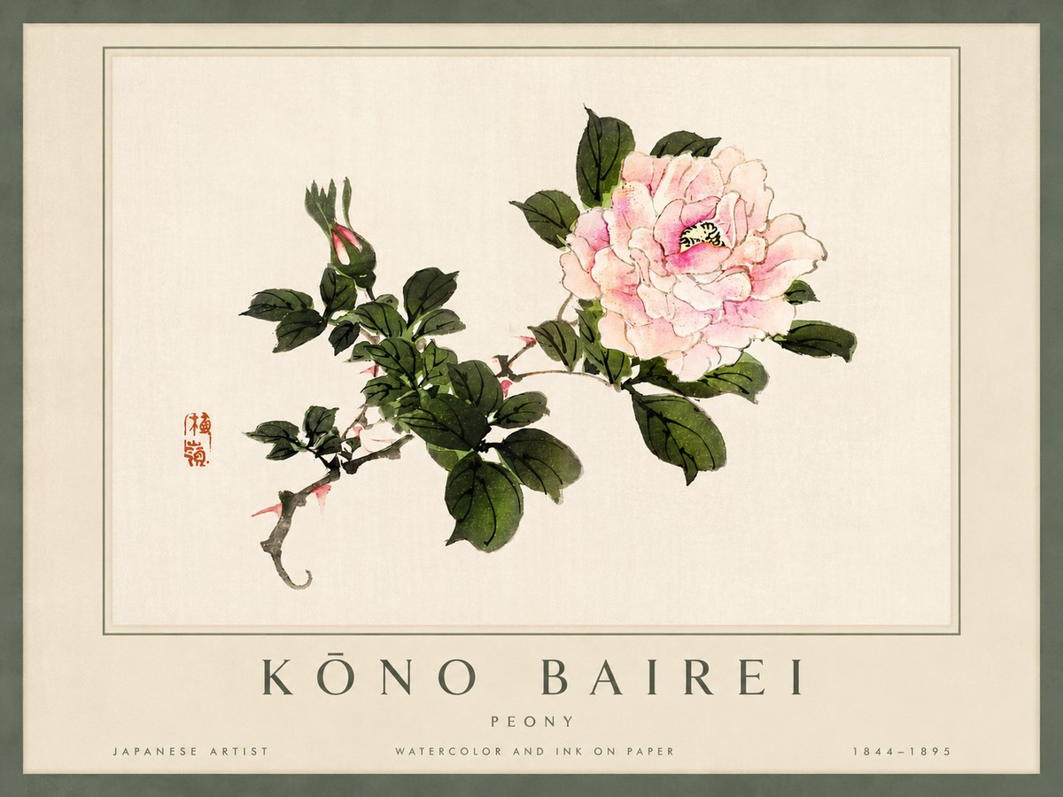 Kōno Bairei Peony I No4 - Plakát