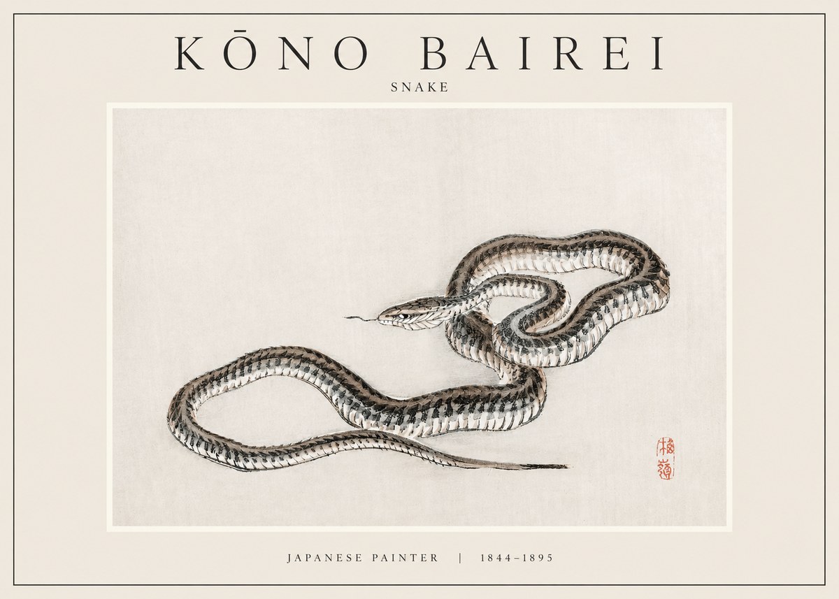Kōno Bairei Snake No1 - Plakát