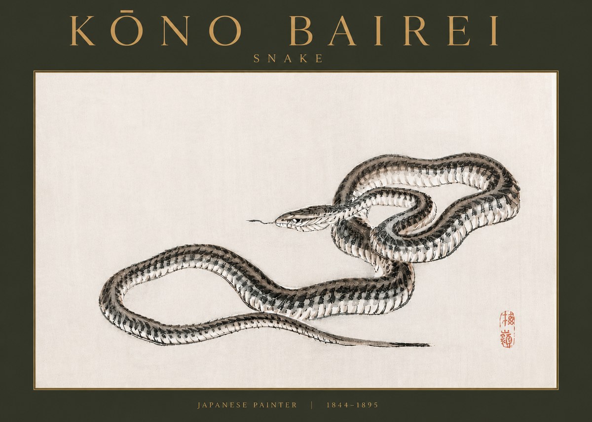 Kōno Bairei Snake No3 - Plakát