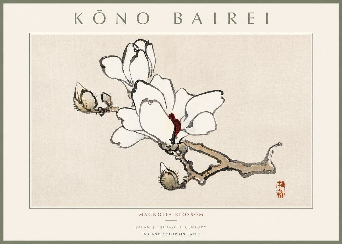 Kōno Bairei Magnolia Blossom No5 - Plakát