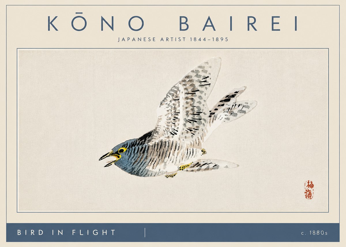 Kōno Bairei Bird in Flight No4 - Plakát