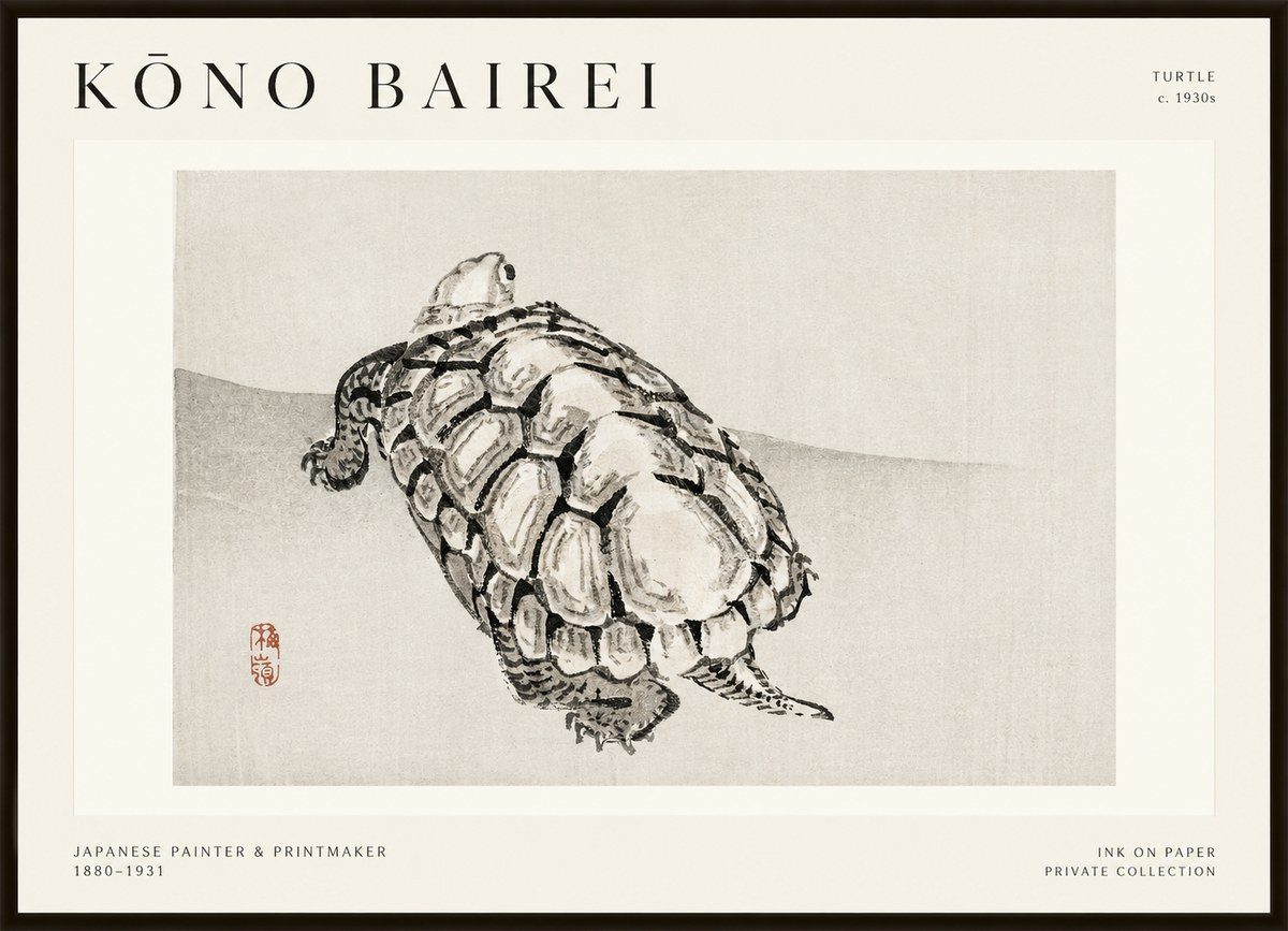 Kōno Bairei Turtle No1 - Plakát