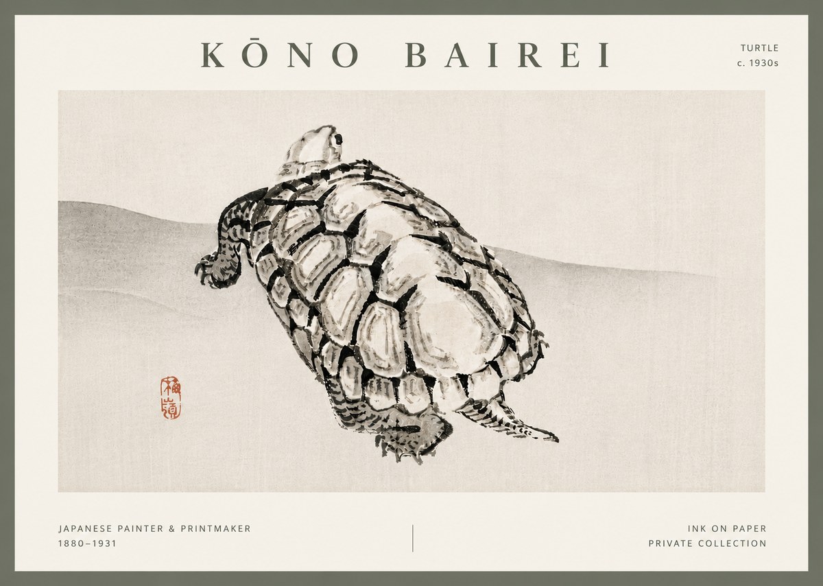 Kōno Bairei Turtle No5 - Plakát