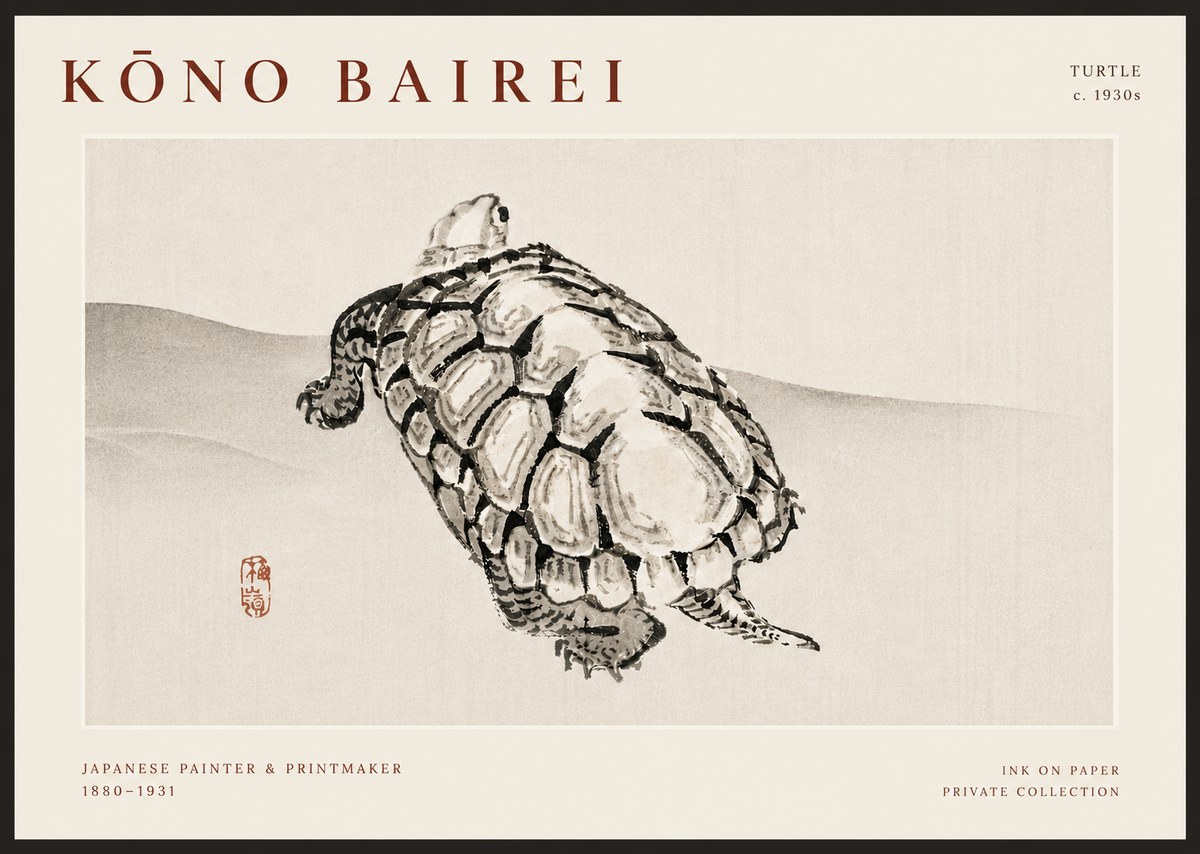 Kōno Bairei Turtle No6 - Plakát