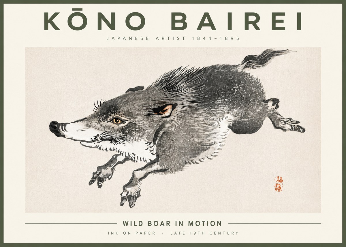 Kōno Bairei Wild Boar in Motion No4 - Plakát