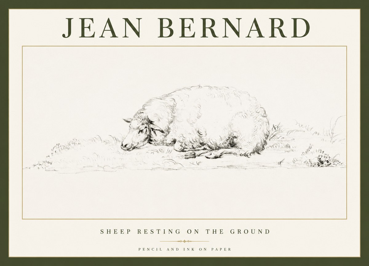 Jean Bernard Sheep Resting on the Ground No1 - Plakát