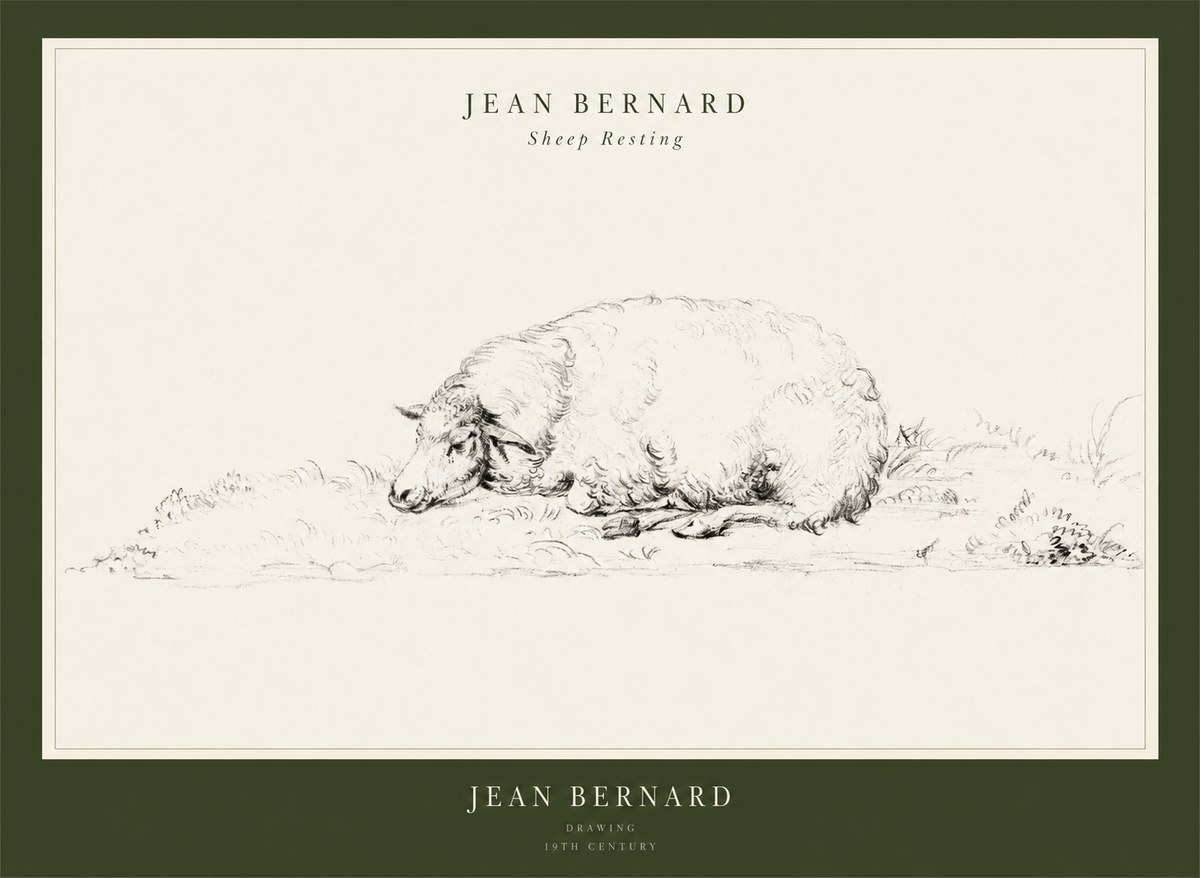 Jean Bernard Sheep Resting on the Ground No3 - Plakát