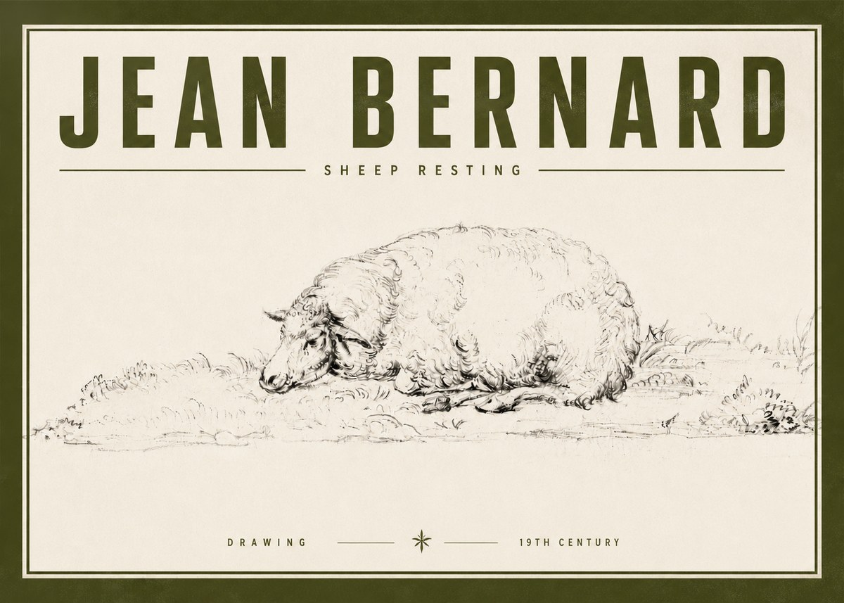 Jean Bernard Sheep Resting on the Ground No6 - Plakát
