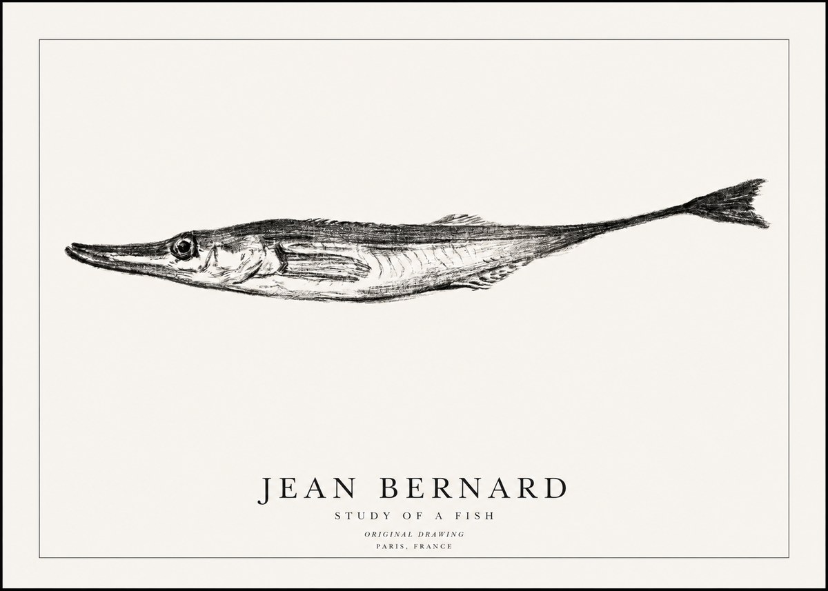 Jean Bernard Study of a Fish I No1 - Plakát