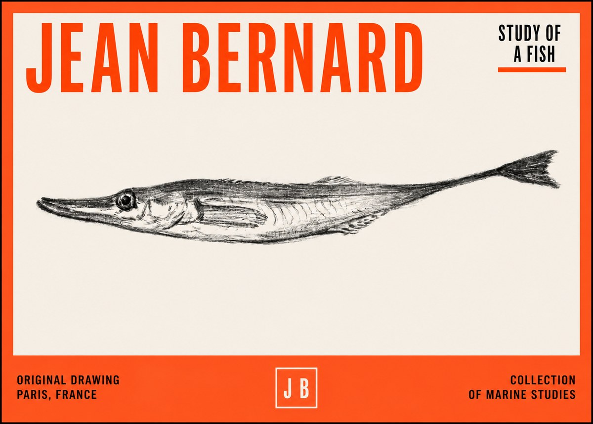 Jean Bernard Study of a Fish I No2 - Plakát