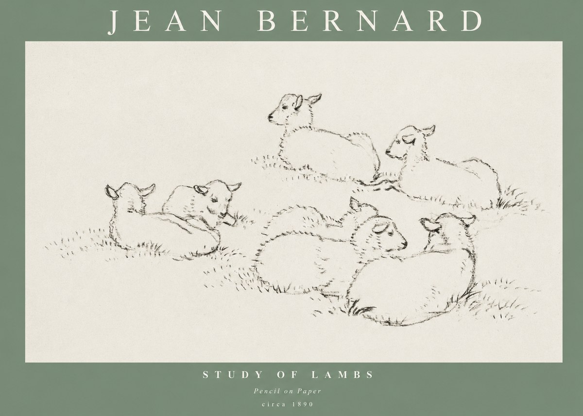 Jean Bernard Study of Lambs No1 - Plakát