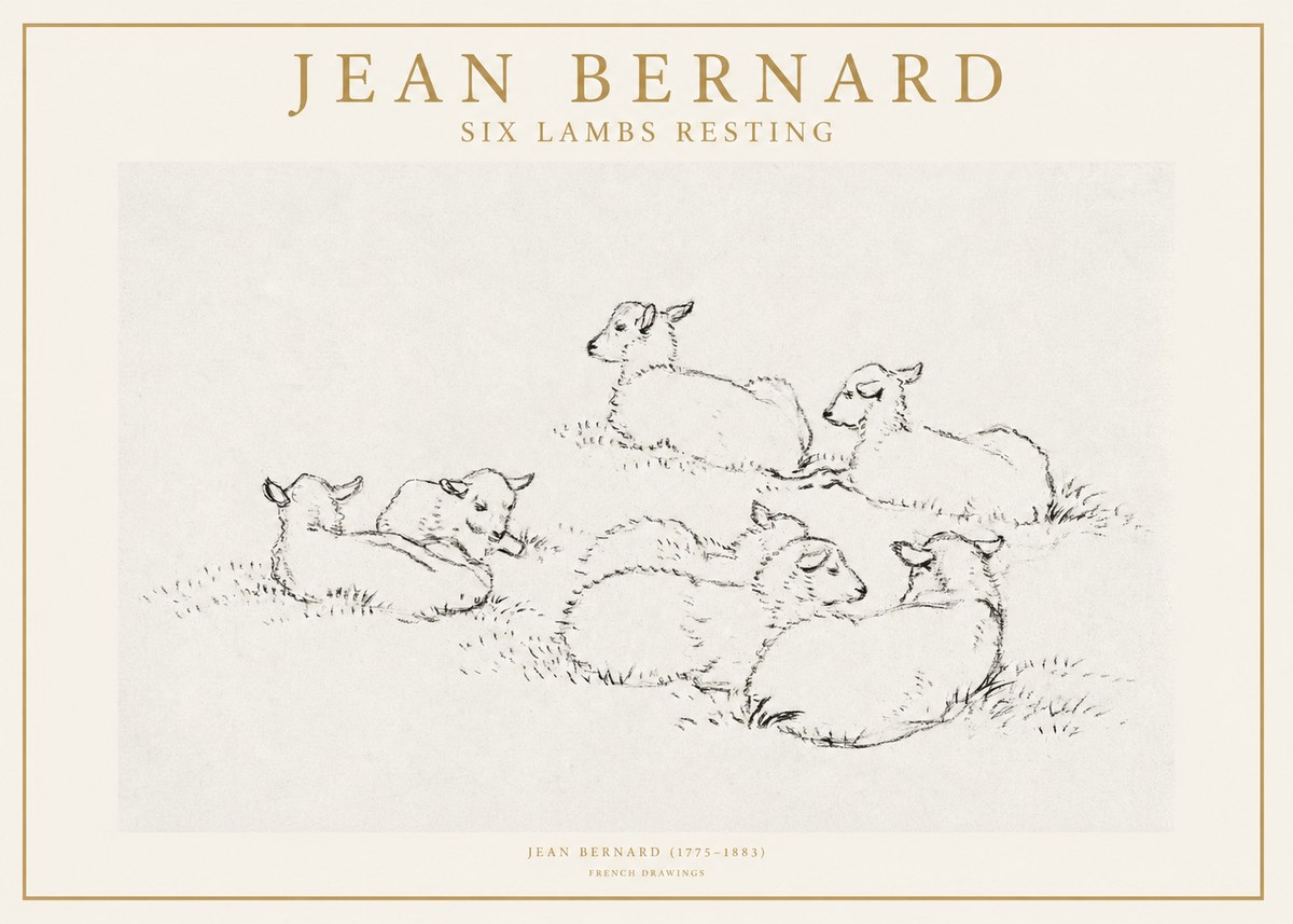 Jean Bernard Study of Lambs No2 - Plakát