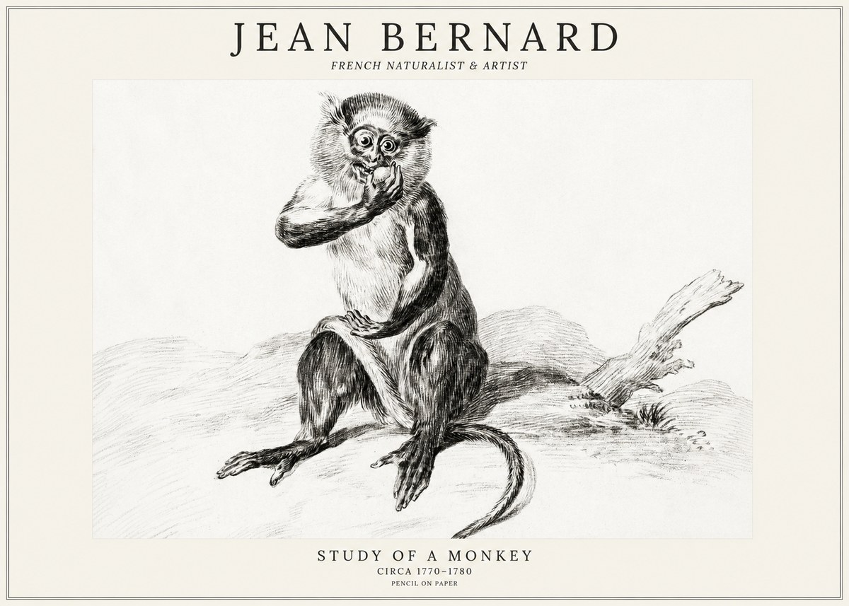 Jean Bernard Study of a Monkey No3 - Plakát