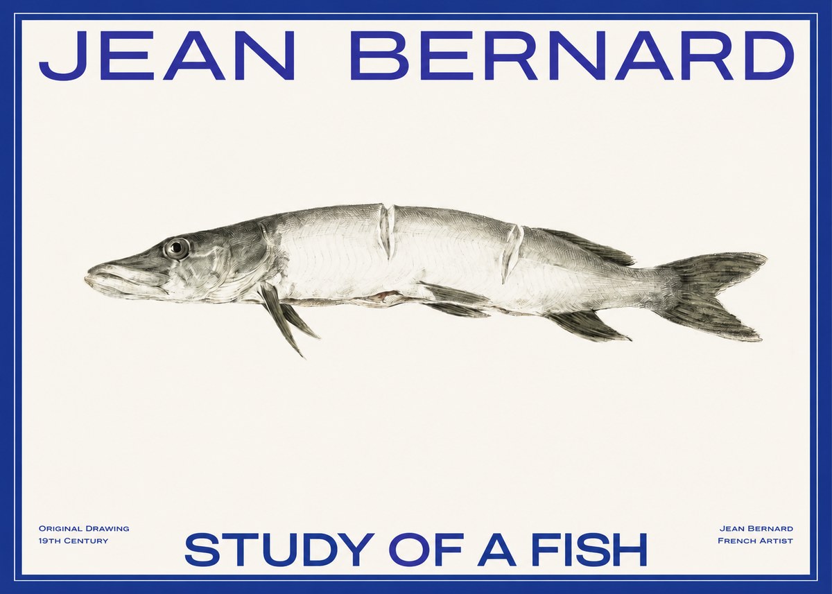 Jean Bernard Study of a Fish II No2 - Plakát