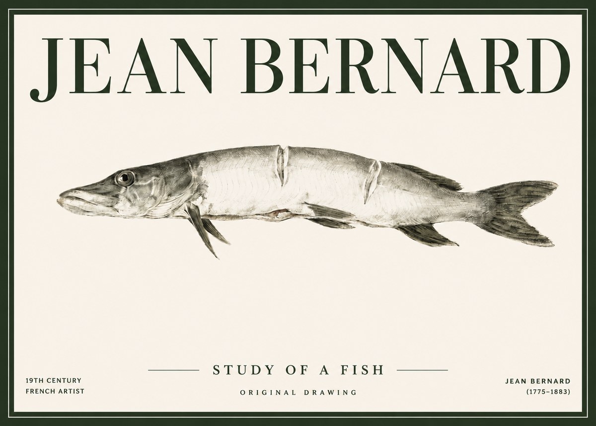 Jean Bernard Study of a Fish II No4 - Plakát