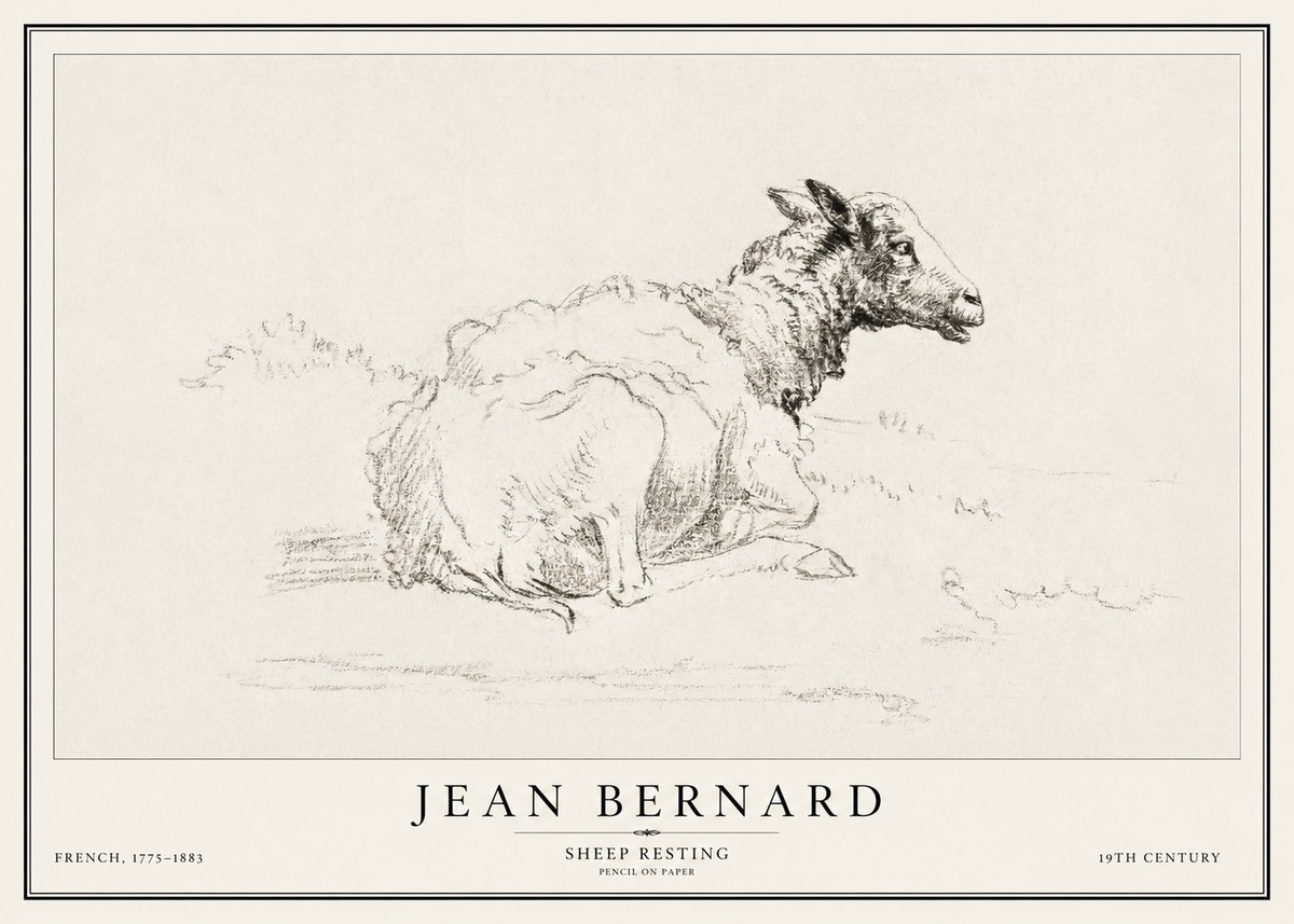 Jean Bernard Sheep Resting No1 - Plakát