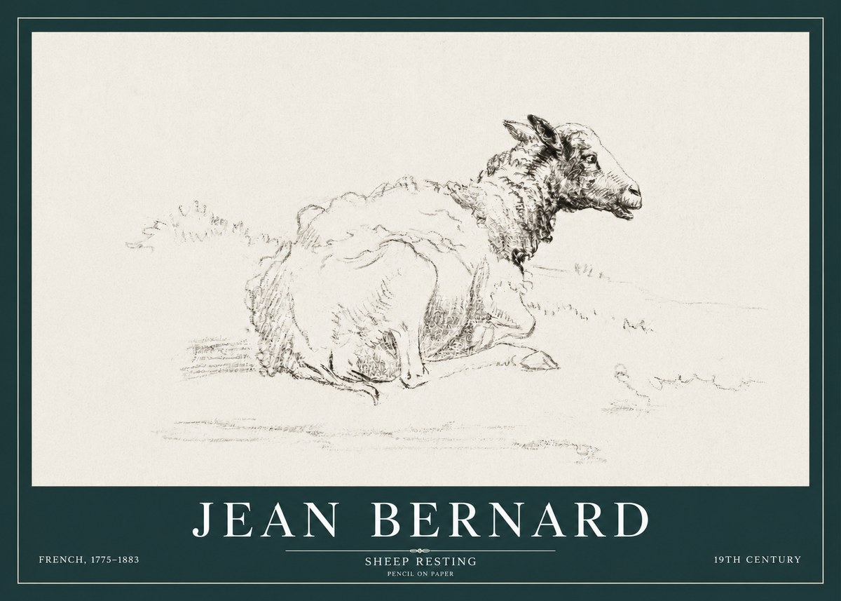 Jean Bernard Sheep Resting No3 - Plakát