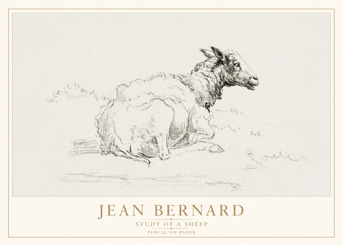 Jean Bernard Sheep Resting No4 - Plakát