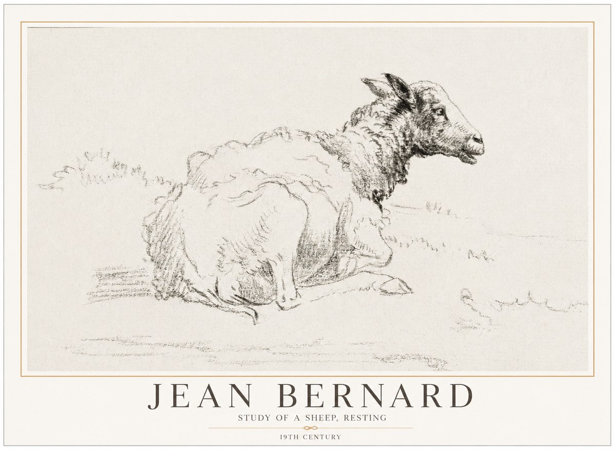 Jean Bernard Sheep Resting No5 - Plakát
