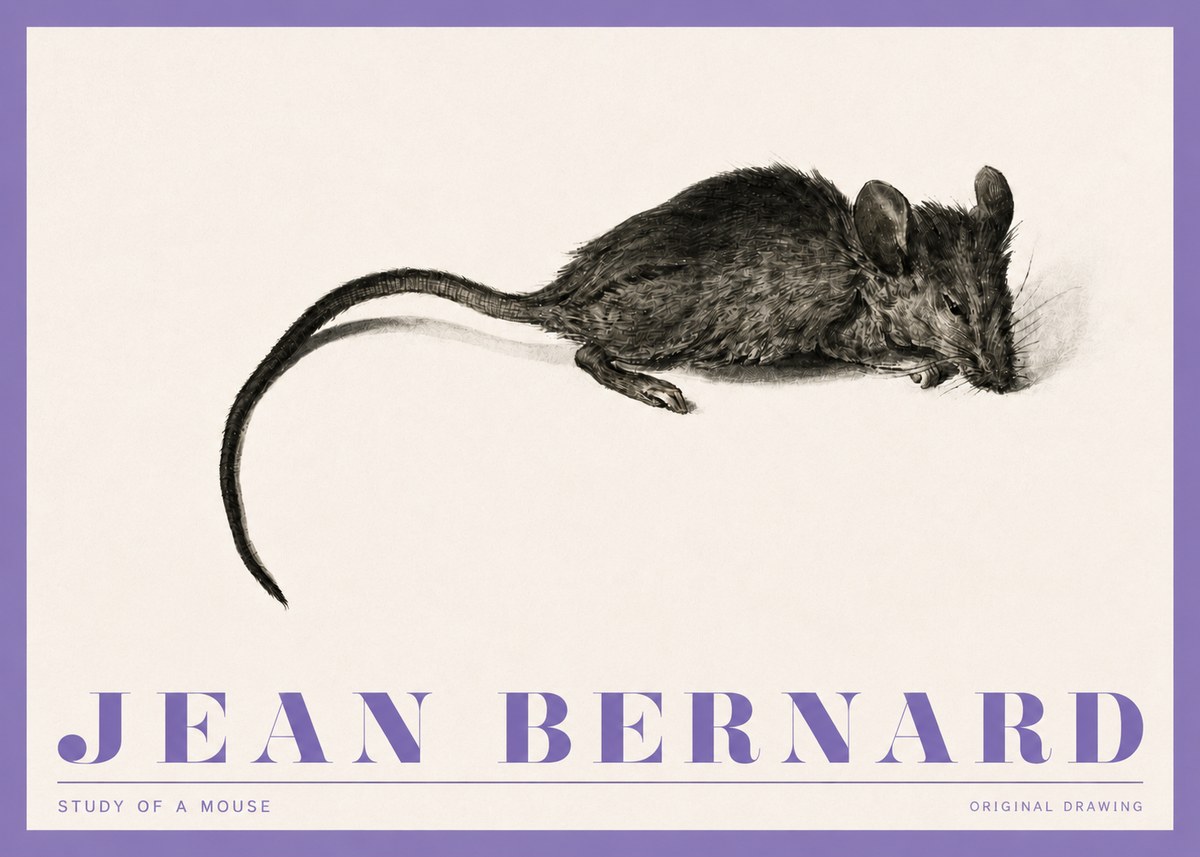 Jean Bernard Study of a Mouse I No4 - Plakát