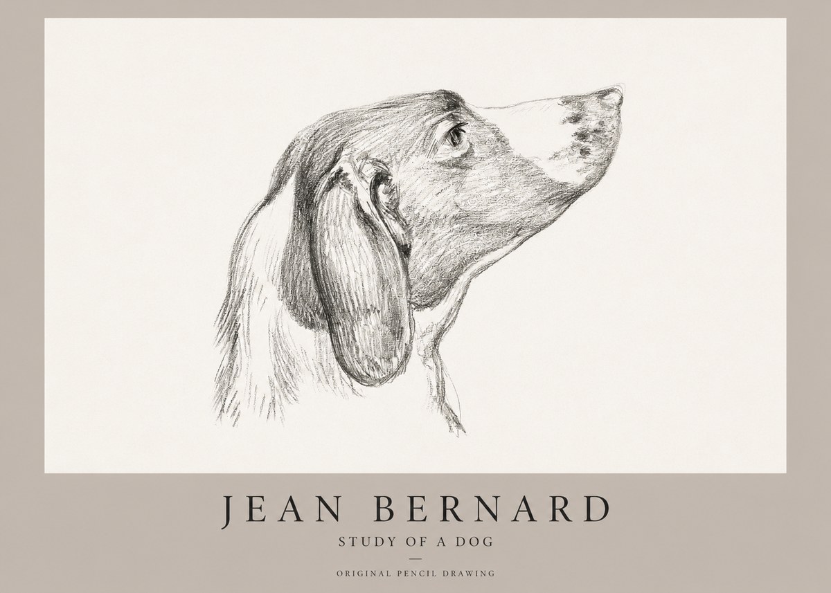 Jean Bernard Study of a Dog I No1 - Plakát