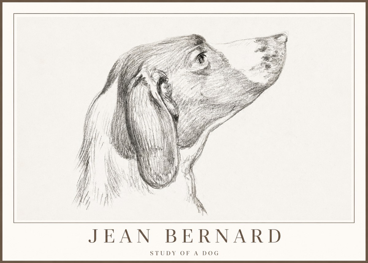 Jean Bernard Study of a Dog I No2 - Plakát