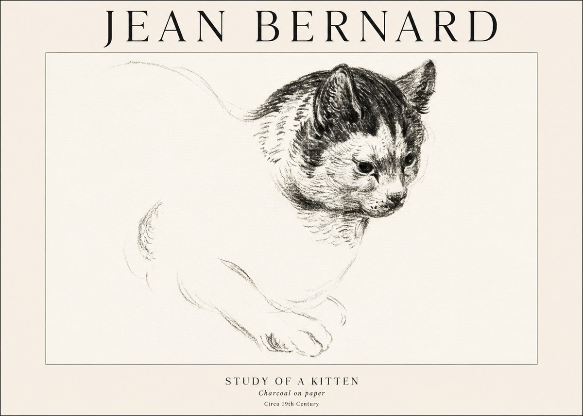 Jean Bernard Study of a Kitten I No1 - Plakát