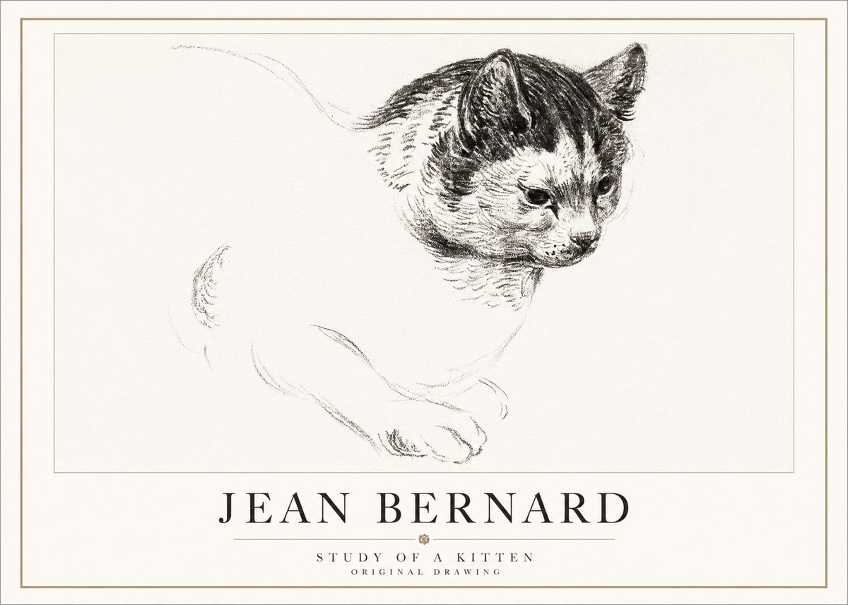 Jean Bernard Study of a Kitten I No5 - Plakát