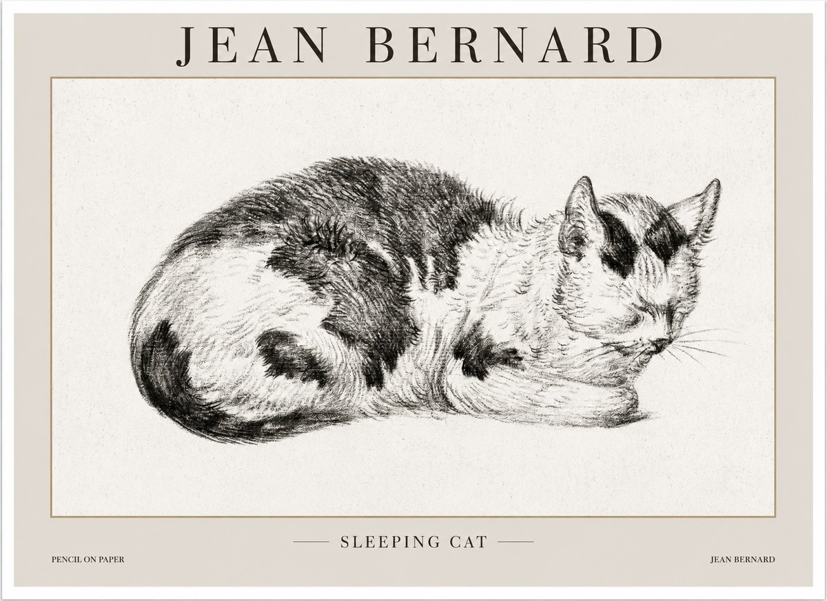 Jean Bernard Sleeping Cat I No1 - Plakát