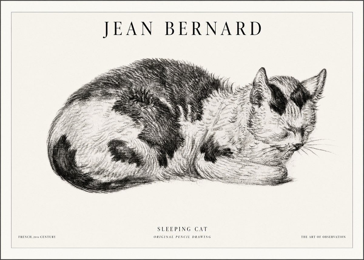 Jean Bernard Sleeping Cat I No5 - Plakát