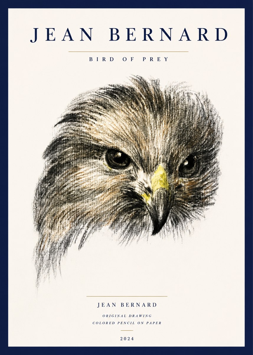 Jean Bernard Bird of Prey No3 - Plakát