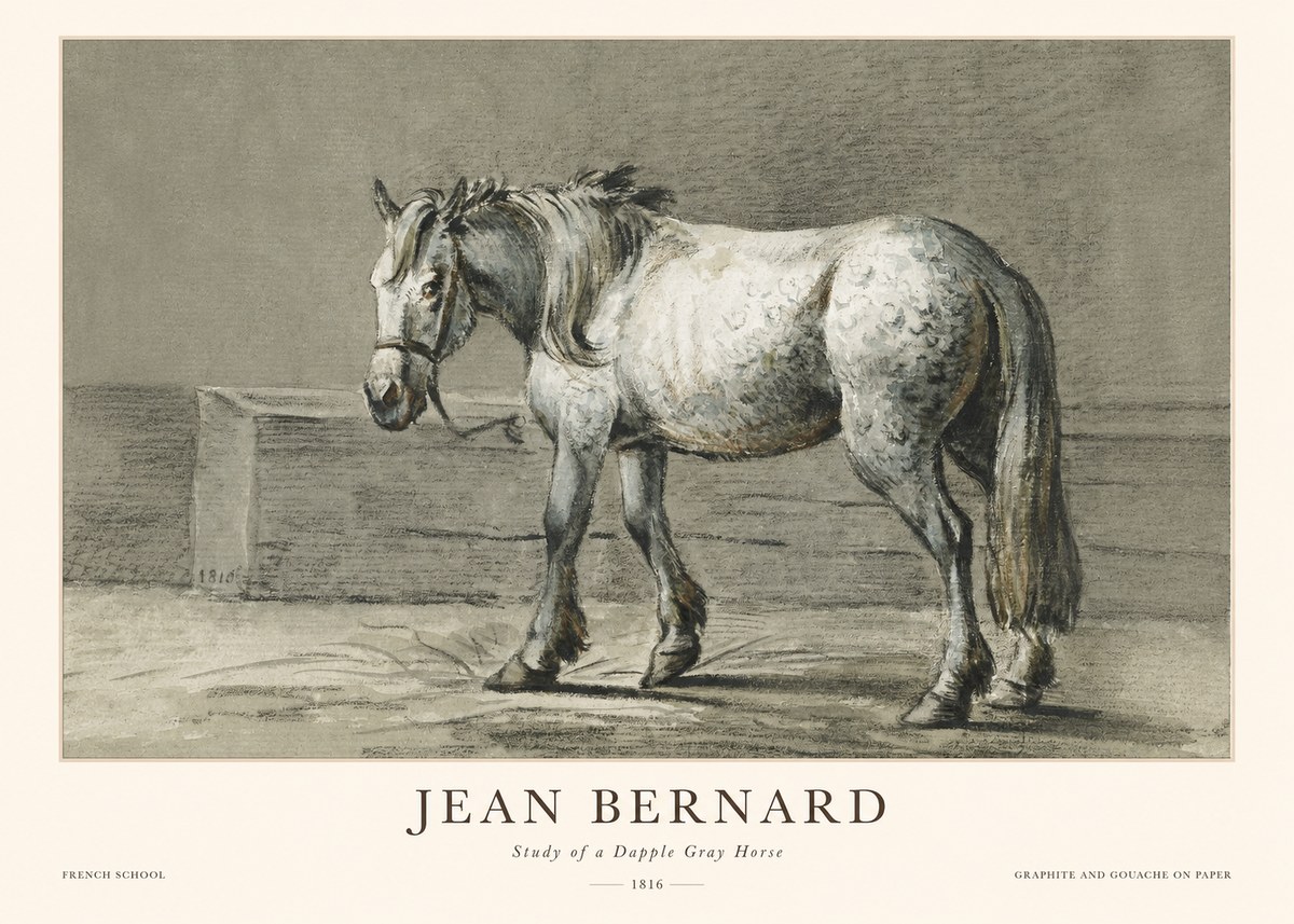 Jean Bernard Study of a Dapple Gray Horse No1 - Plakát