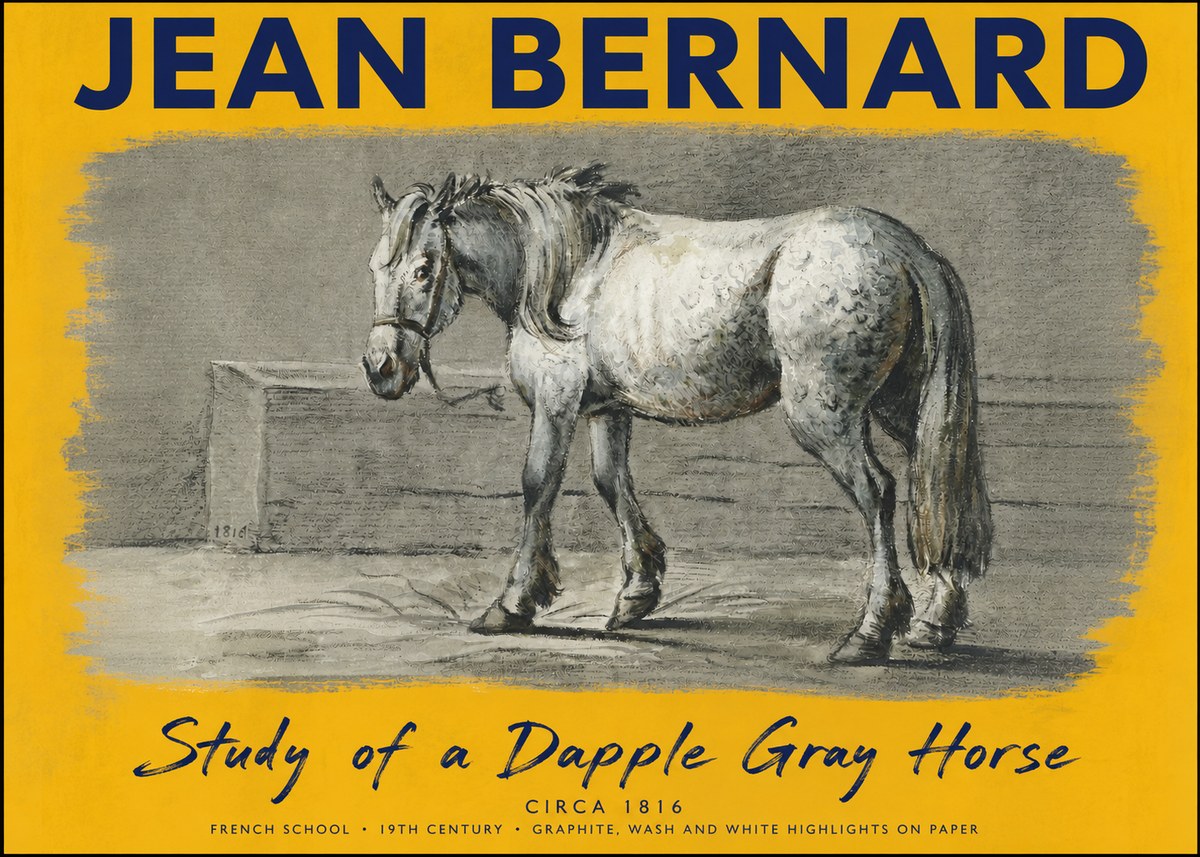 Jean Bernard Study of a Dapple Gray Horse No5 - Plakát