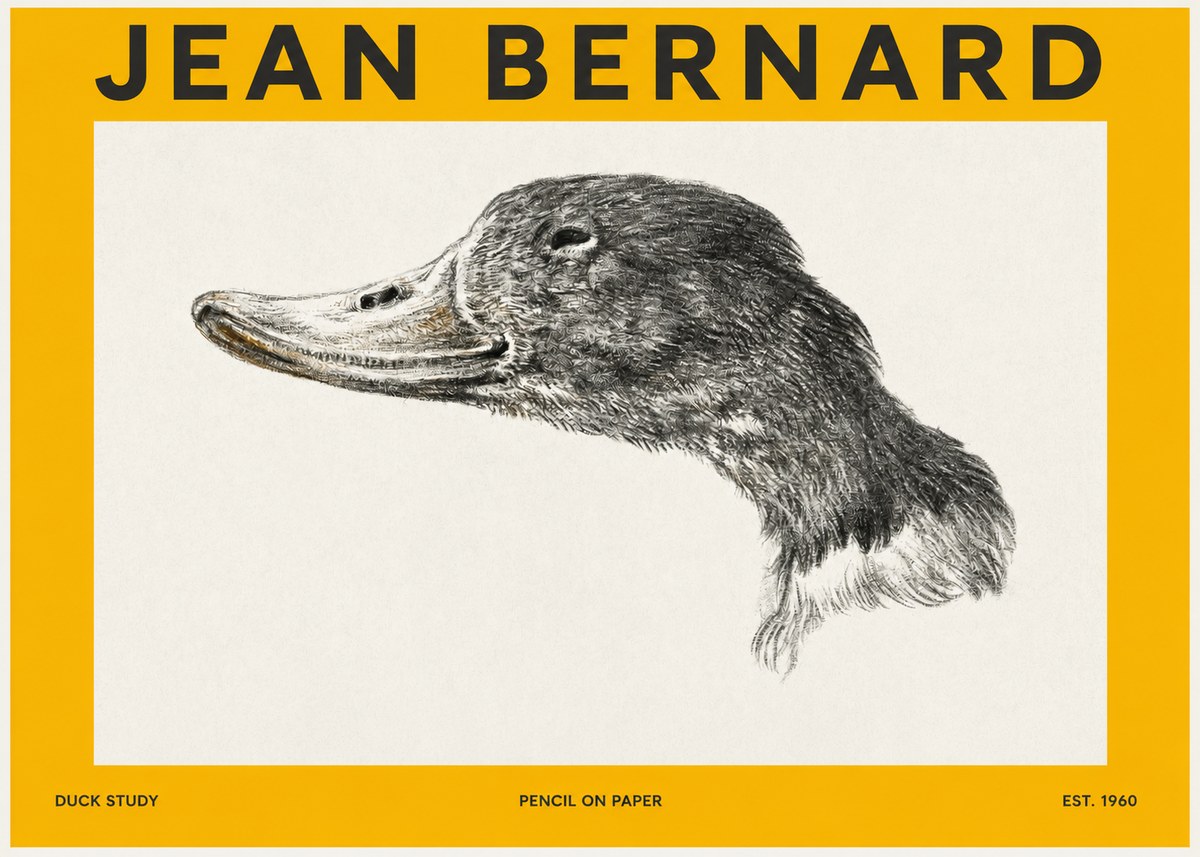 Jean Bernard Study of a Duck No3 - Plakát