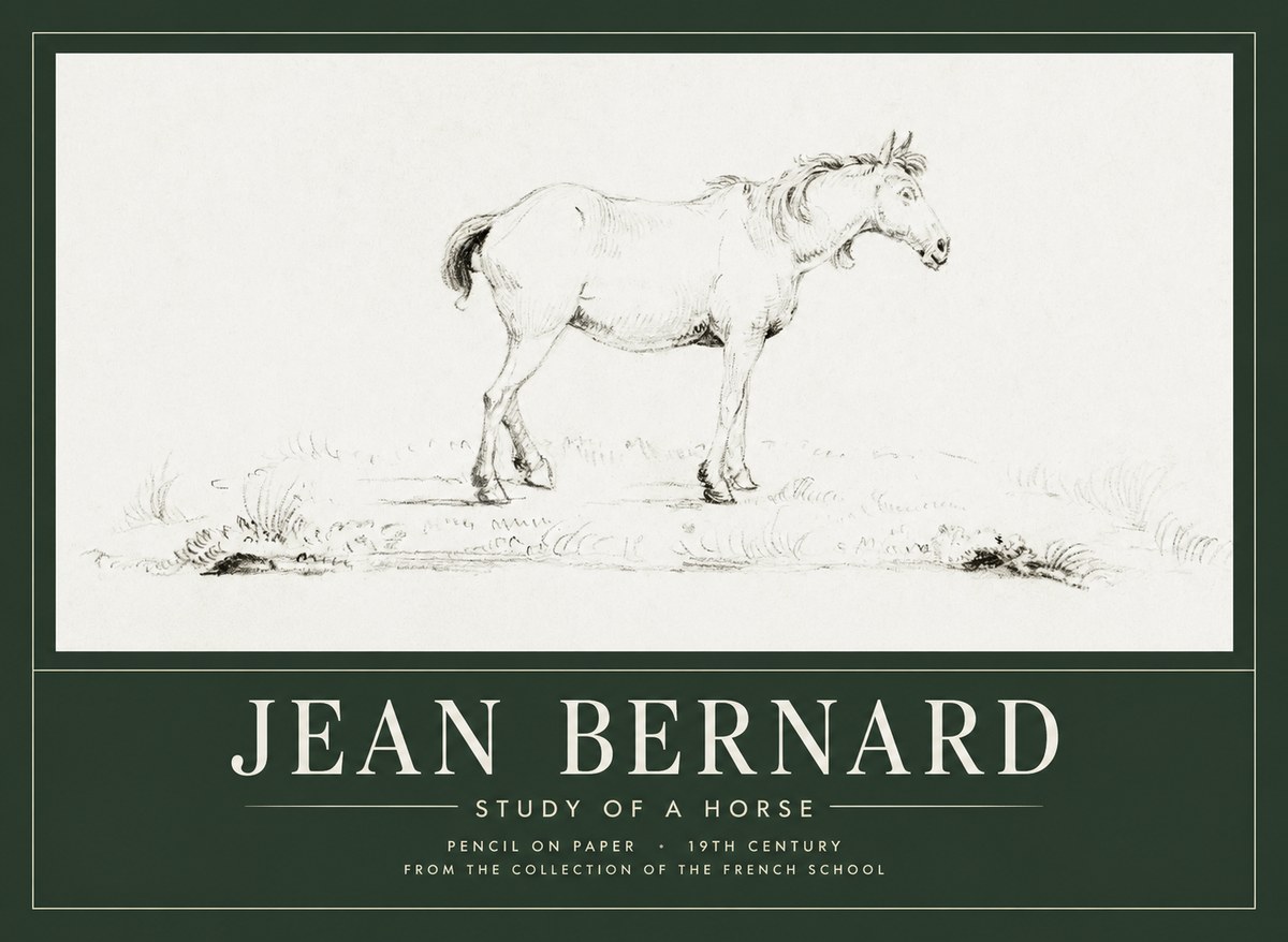 Jean Bernard Study of a Horse IV No1 - Plakát