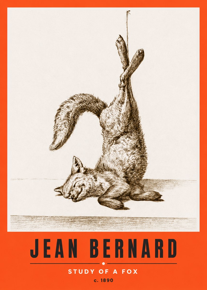 Jean Bernard Study of a Fox No2 - Plakát