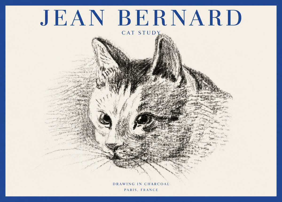 Jean Bernard Cat Study III No2 - Plakát