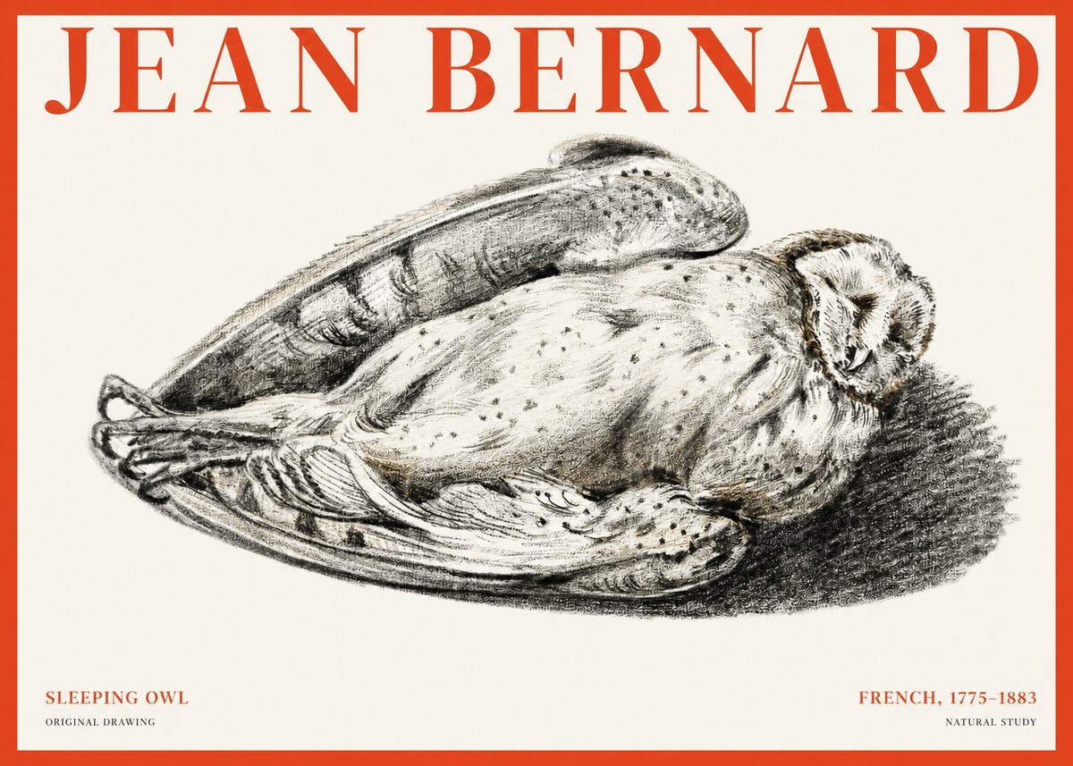 Jean Bernard Sleeping Owl No1 - Plakát