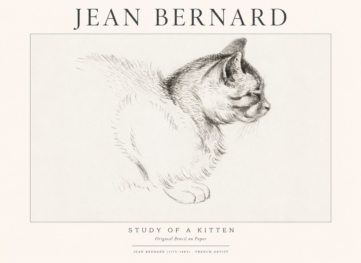 Jean Bernard Study of a Kitten II No1 - Plakát