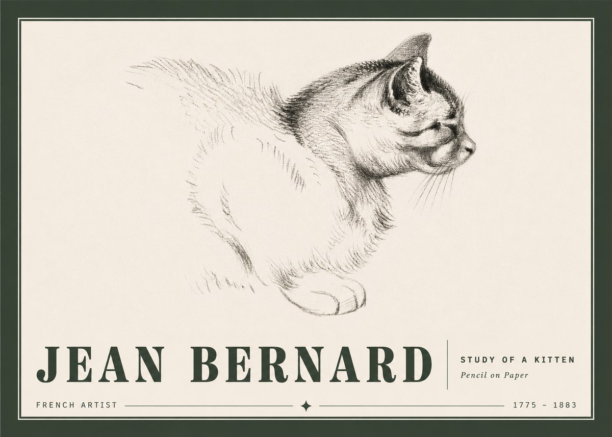 Jean Bernard Study of a Kitten II No5 - Plakát