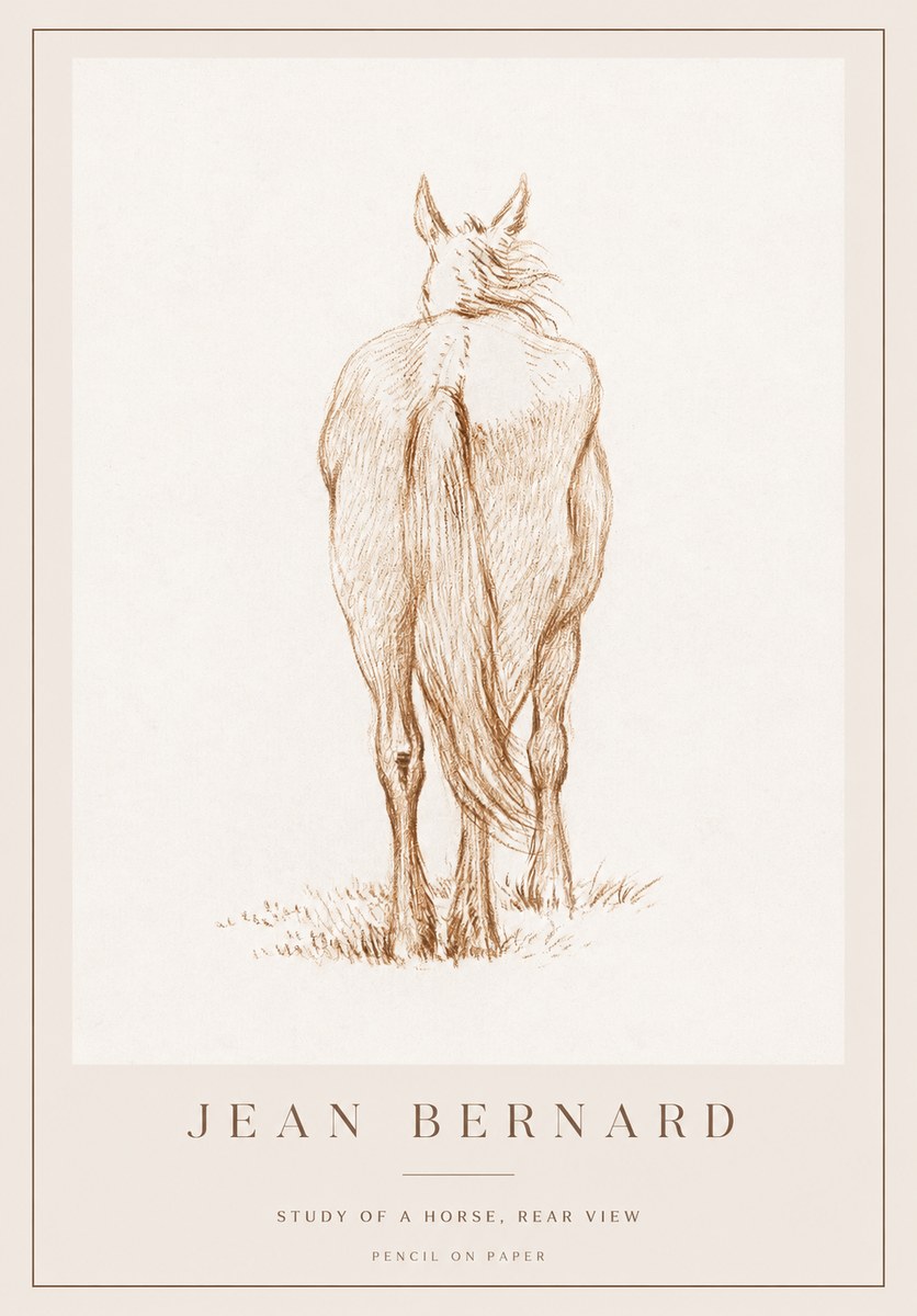 Jean Bernard Study of a Horse, Rear View No1 - Plakát